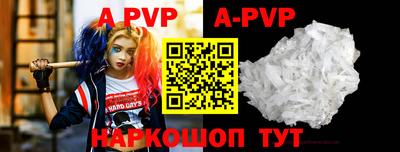 гашик Гатчина