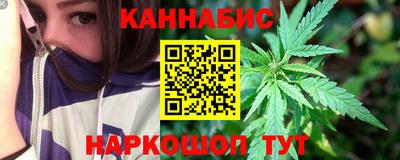 гашик Гатчина