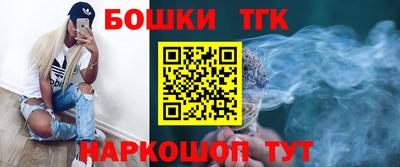 гашик Гатчина