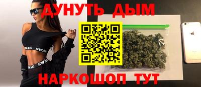 гашик Гатчина